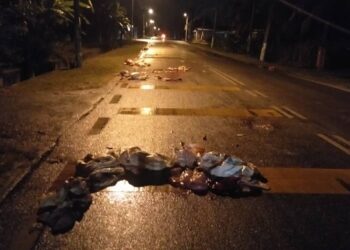 ANTARA gambar yang tular dalam media sosial menunjukkan cebisan daging khinzir bertaburan di sepanjang jalan di Tasek Gelugor, Pulau Pinang sejak awal pagi tadi.