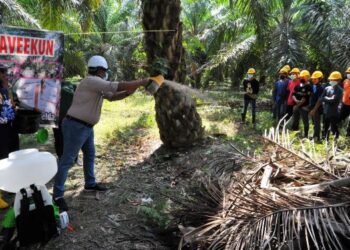 RASMAN Ithnain (dua dari kiri) menabur baja pada pokok kelapa sawit sambil diperhatikan oleh pekerja ladang sempena Demontrasi Penaburan Perapi Tanah Taavekun di Ladang Kelapa Sawit Felda Aping Timur, Kota Tinggi, Johor. - FOTO/RAJA JAAFAR ALI
