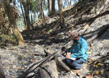 PEGAWAI JAS Pulau Pinang menjalankan siasatan berhubung aktiviti pembakaran terbuka di sebuah kebun di Balik Pulau hari ini.