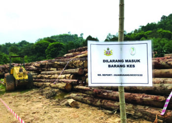 LONGGOKAN balak yang disita pihak Jabatan Perhutanan Negeri (JPNK) di Kuala Betis, Gua Musang, Kelantan. - AIMUNI TUAN LAH