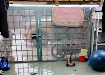 SEBUAH rumah di Seksyen 25, Shah Alam, Selangor dinaiki air setelah hujan sejak pukul 3 petang ini. -UTUSAN/MOHAMAD NAUFAL MOHAMAD IDRIS