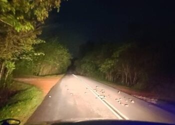 BANYAK batu berserakan di atas jalan raya akibat perbuatan khianat suspek membaling ke arah cermin kenderaan di laluan Rancangan Tanah Pemuda ke Mempaga, Bentong. - FOTO/IHSAN IPD BENTONG