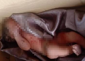 BAYI perempuan yang masih bertali pusat dijumpai dalam sebuah kotak di tepi simpang masuk sebuah kebun di Jemaluang, Mersing.