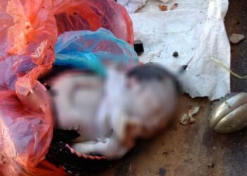 MAYAT seorang bayi perempuan yang cukup sifat dan dipercayai baru dilahirkan ditemukan bersama-sama longgokan sampah di dalam tong sampah di kawasan Flat B4 Taman Bagan, Pulau Pinang hari ini.