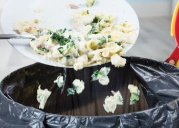 ISI rumah melakukan pembaziran makanan sehingga 90 kilogram per kapita setahun. - GAMBAR HIASAN
