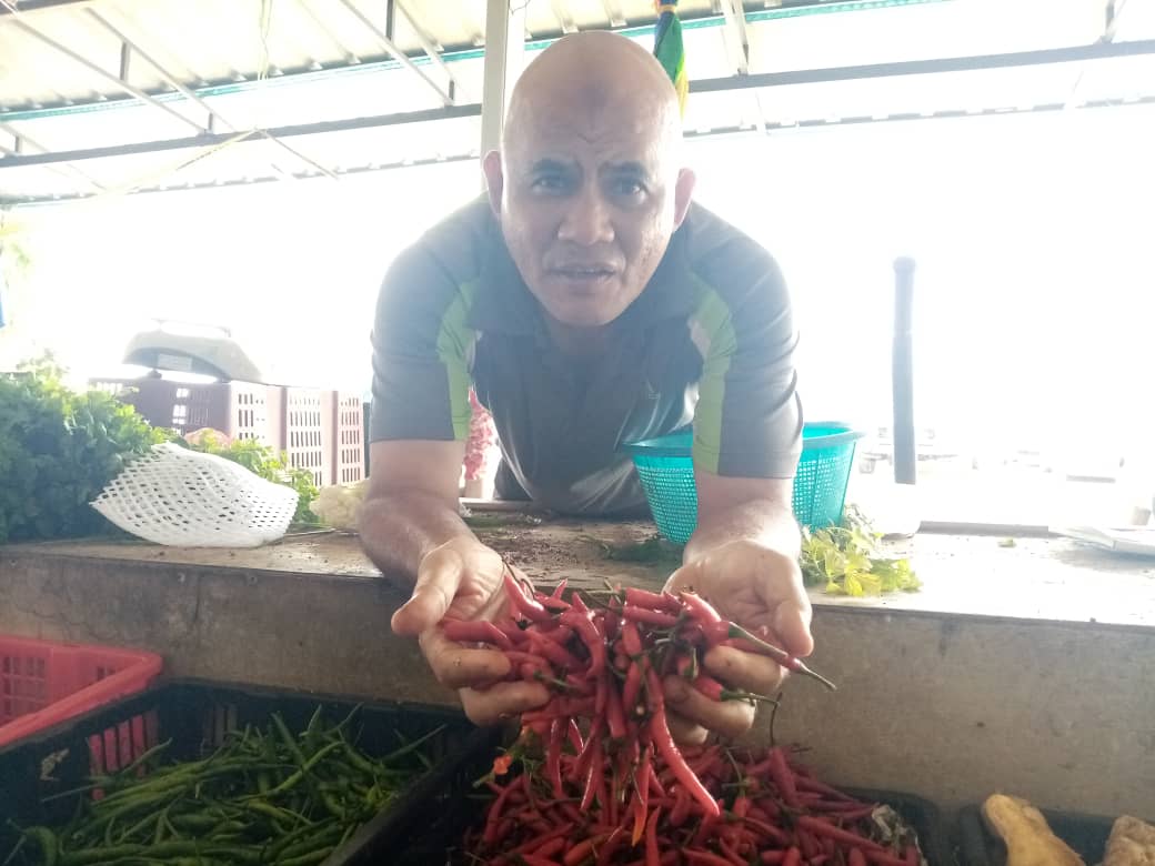 Harga cili padi 1kg