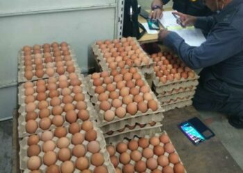 BEKALAN telur di Terengganu kembali pulih. -GAMBAR HIASAN