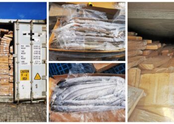 MAQIS Selangor berjaya mematahkan cubaan menyeludup masuk belut dan ikan timah beku dari Iran di Pelabuhan Klang Barat, Selangor baru-baru ini.