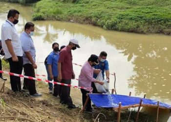 MOHD. Fauzi Solehon (kiri) dan Ahmad Hamzah (kanan) melepaskan benih ikan baung dan lampam ke dalam Sungai Chuhong, Jasin, Melaka. - FOTO/DIYANATUL ATIQAH ZAKARYA