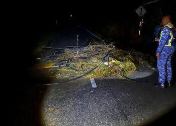 ANGGOTA APM sedang memantau kawasan jalan raya yang dipenuhi lumpur akibat kepala air di Kampung Janda Baik di Bentong, Pahang. - FOTO /IHSAN APM BENTONG