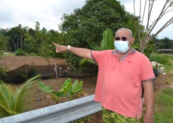 OTHMAN Shamsuddin menunjukkan kawasan yang pernah dilihat kelibat beruang matahari di Kampung Jimah Lama, Port Dickson. - UTUSAN/ZAKKINA WATI AHMAD TARMIZI
