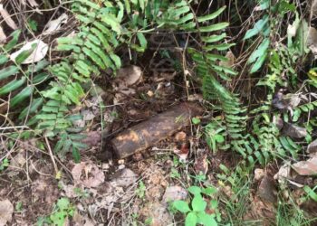 DUA butir bom lama yang dijumpai sekumpulan pekerja di Ladang Kelapa Sawit Felcra Tebing Tinggi, Segamat dimusnahkan.