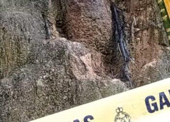 BOM lama yang dijumpai di dalam ladang sawit di Ladang Serigala Divisyen A, Slim River. - UTUSAN/IHSAN PDRM