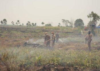 KEBAKARAN belukar di ladang berkeluasan 16 hektar sawit di Kampung Bukit Durian, Umbai, Melaka  pada 25 Mac lalu.