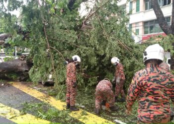 ANGGOTA bomba berusaha mengeluarkan mangsa yang terperangkap di dalam sebuah kereta yang dihempap sebatang pokok di Jalan Perak, Jelutong, Pulau Pinang. - IHSAN BOMBA