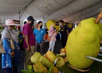 ORANG ramai berpeluang membeli pelbagai jenis buah-buahan di Castle of Fruits di Pameran Pertanian, 
Hortikultur dan Agro Pelancongan Malaysia (MAHA) 2022 yang berlangsung sekarang.