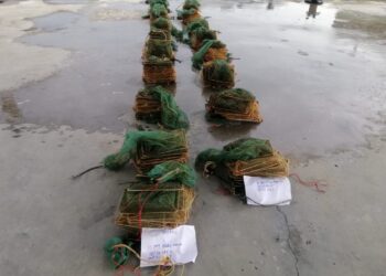 BUBU naga yang dirampas Agensi Penguatkuasaan Maritim Malaysia di perairan Batu Kawan, Pulau Pinang, semalam.