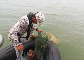 ANGGOTA Maritim Malaysia menarik bubu naga yang dipasang di tiga lokasi berasingan di perairan Pulau Aman, Pulau Pinang kelmarin.