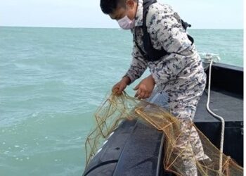 ANGGOTA Maritim Perak menarik bubu naga yang dipasang di sekitar perairan Pulau Talang dekat Lumut semalam. - UTUSAN/IHSAN MARITIM MALAYSIA