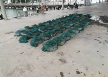 SEBANYAK 50 set bubu naga dirampas Maritim Malaysia Pulau Pinang di empat lokasi berbeza di sekitar satu batu nautika barat pesisir pantai Penaga, Seberang Perai Utara (SPU).