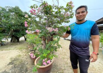 MASHAZINI Sidek bersama koleksi bunga kertas yang menghias laman rumahnya di Kampung Air Tawar Semerak, Pasir Puteh. - UTUSAN/TOREK SULONG