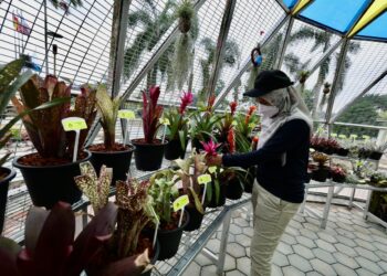 BUNGA nanas antara tarikan terbaharu di MAHA 2022 di Serdang, Selangor.