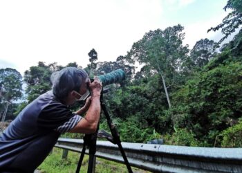 PESERTA program KBNQ 2022 melihat 40 spesies baharu burung di Bukit Lawit, Tasik Kenyir, Hulu Terengganu, semalam. 