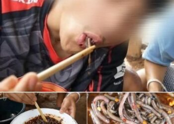 AKSI seorang lelaki memakan cacing tanah mentah-mentah yang dicampurkan bersama salad.-FACEBOOK