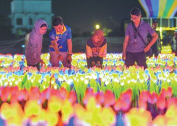 KEINDAHAN kira-kira 10,000 kuntum bunga tulip bercahaya menjadi antara tarikan pengunjung ke Festival Bunga Tulip Bercahaya di Kangar Jaya, Perlis, semalam.- UTUSAN/IZLIZAN OTHMAN