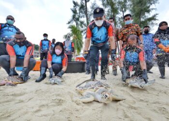 BAKRI Sawir (depan dua dari kanan) dan Doreen Wee Siew Leen (depan dua dari kiri) melepaskan penyu sempena Program Pemuliharaan Biodiversiti Marin di Pantai Tanjung Biru, Port Dickson hari ini.-UTUSAN/MOHD. SHAHJEHAN MAAMIN