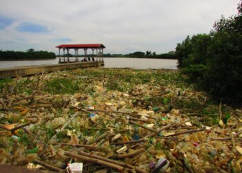 PIHAK berkuasa berkaitan digesa mengambil langkah segera menangani masalah pencemaran di Sungai Muda, Kepala Batas ketika ini.