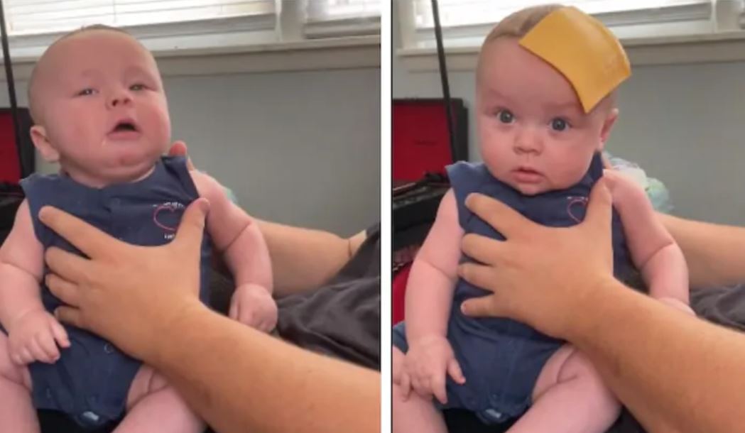 Mettre du fromage sur les pointes de tête pour faire taire le bébé pleurnichard ?