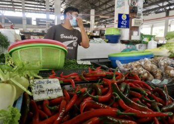 HARGA cili merah mencecah RM20 sekilogram di Pasar Sena, Kangar, Perlis, semalam.- UTUSAN/NAZLINA NADZARI