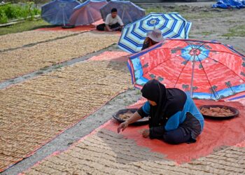 PENGUSAHA keropok menjemur keropok yang telah diproses di bawah terik matahari di Kampung Banggol, Kedai Buluh, Marang, Terengganu. Cuaca panas akan mempercepatkan lagi proses pengeringan tersebut. -UTUSAN/PUQTRA HAIRRY