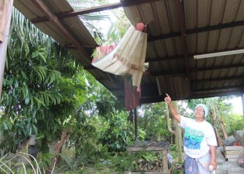AISHAH Alias menunjukkan kerosakan atap bahagian dapur di belakang rumahnya akibat dihempap dahan pokok petai dalam kejadian angin kencang di Kampung Senama Tanjung Keling, Rembau pagi tadi.-UTUSAN/NOR AINNA HAMZAH