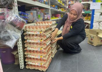 SEORANG peniaga yang hanya mahu dikenali sebagai Wawa, 27, menyusun bekalan telur Omega susulan kekurangan telur gred B di kedai runcitnya di Seberang Jaya, Pulau Pinang hari ini.  - Pix SITI NUR MAS ERAH AMRAN