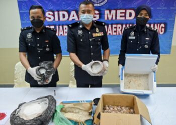 MOHD. Zain Mat Dris menunjukkan sebahagian ketulan kristal disyaki dadah jenis syabu yang dirampas dalam sidang akhbar di IPD Marang, Terengganu, hari ini. - UTUSAN/PUQTRA HAIRRY ROSLI