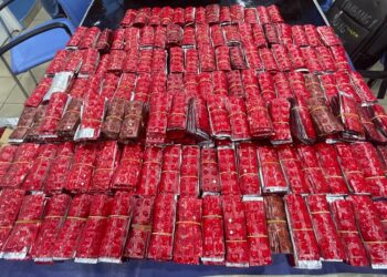 ANTARA rampasan dalam serbuan lima makmal pemprosesan dadah pada 8 Julai lalu.