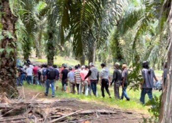 SERAMAI 45 individu ditahan selepas terlibat dalam aktiviti dadah di ladang kelapa sawit di Pasir Panjang, Port Dickson, semalam.