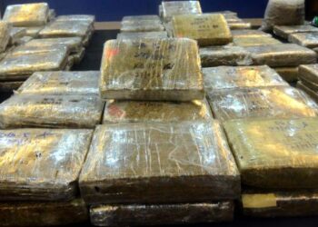 PELBAGAI jenis dadah dianggarkan bernilai RM262.3 juta dirampas polis sepanjang tempoh enam bulan tahun ini sejak Januari hingga Jun lalu.