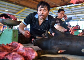 PASAR Tomohon di Sulawesi Selatan terkenal dengan jualan daging haiwan eksotik termasuk anjing.-AFP