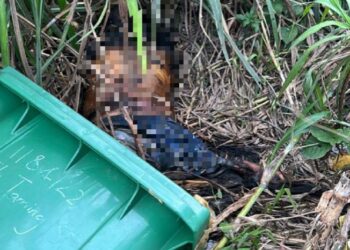 LOKASI mayat warga Bangaldesh dibuang selepas dipercayai diculik dan dibunuh rakan senegara di Seri Kembangan, Selangor.