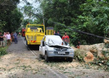 Keadaan kereta dinaiki mangsa yang dihempap pokok getah dalam kejadian di Kilometer 5, Jalan Keru-Batu Belang, Tampin dekat sini hari ini.- UTUSAN/NOR AINNA HAMZAH