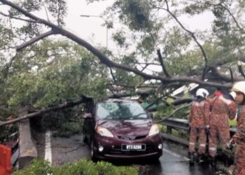 TIGA kenderaan rosak selepas dihempap pokok dalam kejadian di MRR2 berhampiran Bandar Tasik Selatan, Sungai Besi hari ini