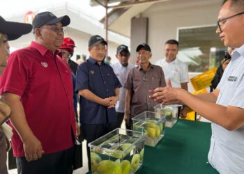 MUHAMMAD Sanusi Md. Nor (kiri) diberi taklimat mengenai mempelam  Harumanis D'Aman selepas merasmikan penjenamaan semula mempelam tersebut di Pusat Teknologi Mempelam Sala Kanan di Yan, hari ini. - UTUSAN/MOHD. RAFIE AZIMI