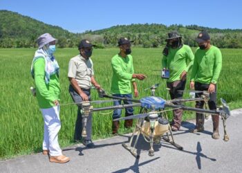 DRON digunakan untuk kerja-kerja menabur baja dan menyembur racun dalam Program Sawah Berskala Besar (Smart SBB) di bawah Padiberas Nasional Berhad (Bernas) di Gong Dasar, Besut, Terengganu.