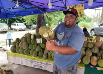 FIRMAN  Mohd. Safei menunjukkan durian tempatan yang dijual di gerai jualannya di Jalan Seremban-Jelebu dekat Ampangan, Seremban hari ini.-UTUSAN/NOR SHAFAWATI YUP.