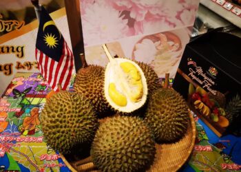 DURIAN Malaysia sudah berjaya menembusi 22 buah negara dan berpotensi meneroka banyak pasaran baharu. - Ihsan Jabatan Pertanian