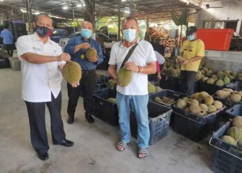 MOHAMAD Mustahapa Awang (kiri) bersama salah seorang pengusaha ladang durian, Lim See Kiang (kanan) menunjukkan bekalan durian yang dipasarkan di sekitar daerah Tangkak dan masih laris dijual di Tangkak, Johor. -UTUSAN/NUR ALINA HASSAN