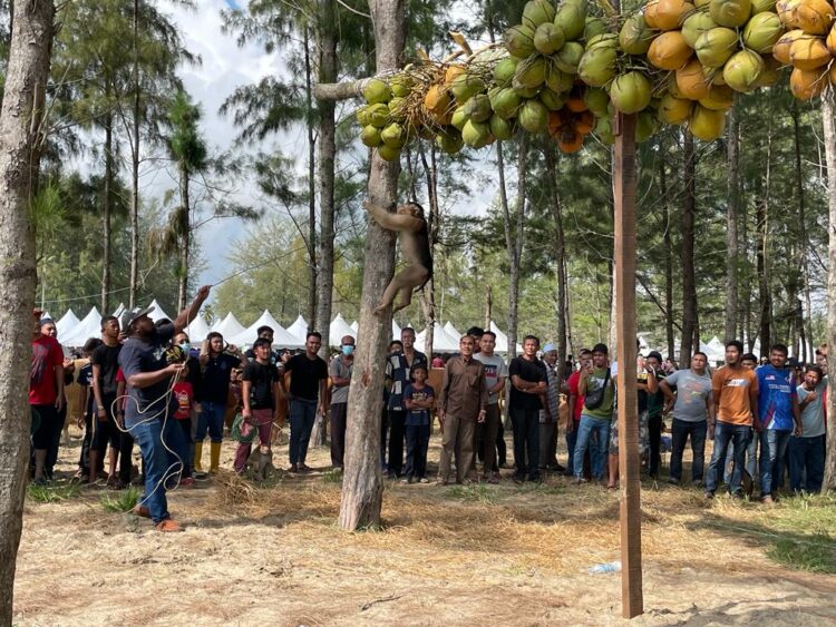 Basikal Beruk